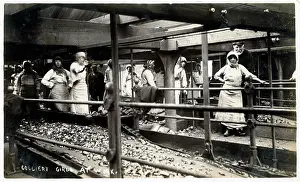 Pithead: Colliery Girls at work - grading the coal