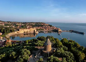 Olive: Collioure, Pyrenees-Orientales, France