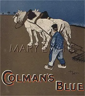 Furrows: COLMAN'S BLUE ADVERT