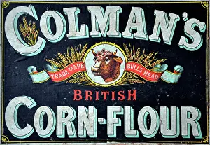 Bulls: Colman's British Corn-Flour