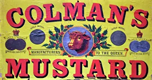 Mustard: Colman's Mustard