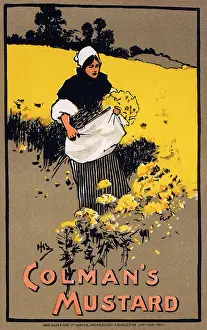 Mustard: Colman's mustard advert