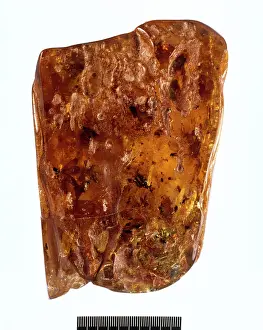 Colombian: Colombian copal