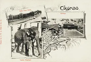 Galle: Colombo - Sri Lanka