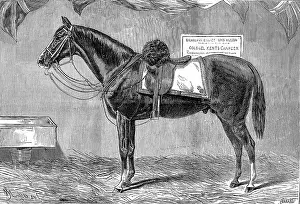 Charger: Colonel Kent's Horse, 1875