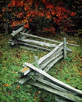 Splitter: Colonial and Frontier America Zigzag Wooden Split