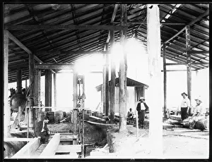 Colonials: COLONIAL SAW MILL/1910