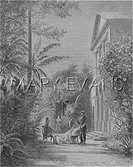 Colonials: COLONIALS IN GARDEN