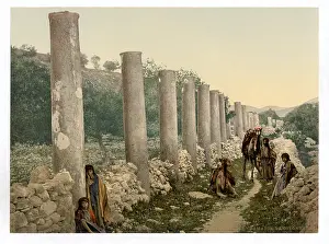Samaria: The colonnade, Samaria, Holy Land