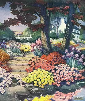 Planters: Colorful Garden