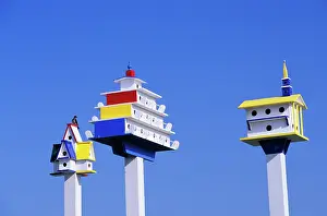 Birdhouse: Colorful Painted Martin Birdhouse Kill Devil Hills, NC