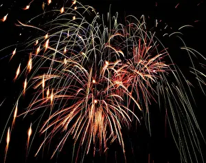 Multicolored: Colorful Polychrome Fireworks Bursting in Night Sky
