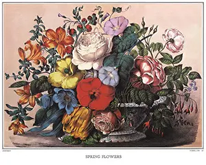 Overhanging: Colorful Spring Flowers