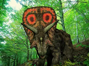 Torosaurus: A colorful Torosaurus wanders a Cretaceous forest