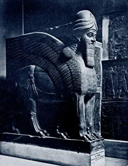 Lamassu: Colossal statue of a winged lion (lamassu) ?