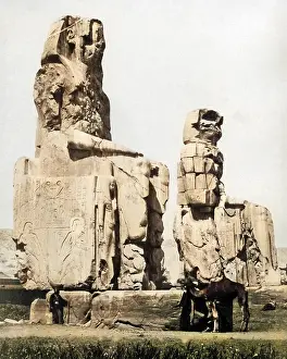 Colossi: Colossi of Memnon, Egypt