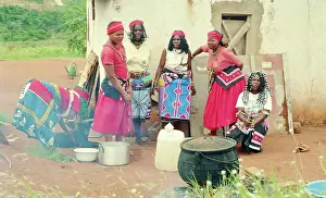 Novices: Colour photo of group of sangoma novitates around