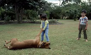 Zanu: Colour photo of two small children playing with