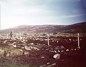 Relating: Colour photograph of graves