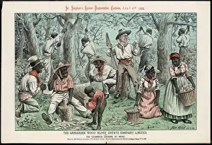 Dismayed: COLOURED COUSINS 2