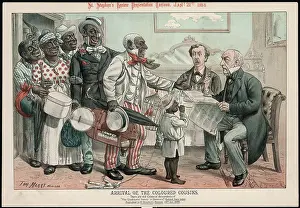 Dismay: COLOURED COUSINS