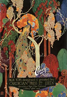 Artworks: A colourful artwork promoting A. J. Caley Limited
