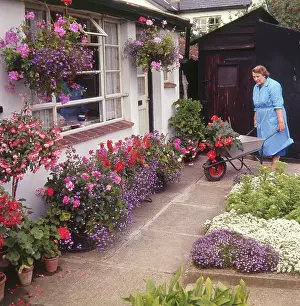 Crammed: COLOURFUL GARDEN