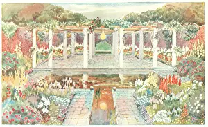 Pergola: Colourful Garden Pergola