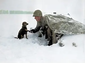 99th: Colourised Battle of the Bulge