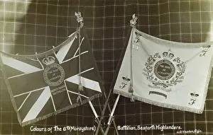 Albanys: Colours of the 6th (Morayshire) Battalion, Seaforth Highland