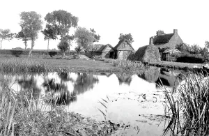 Bure: Coltishall, on the Banks of the Bure 1902