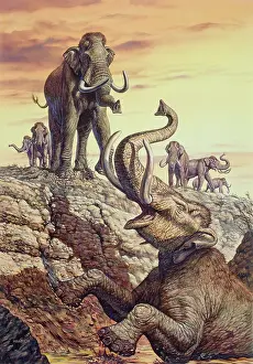 Rearing: Columbian Mammoth trapped in a sinkhole