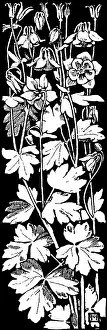 Lilley: Columbine, etc
