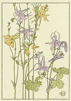 Columbine: Columbine