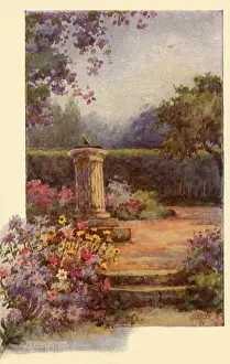 Hedges: Column in Garden
