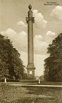 Savernake: The Column, Savernake Forest