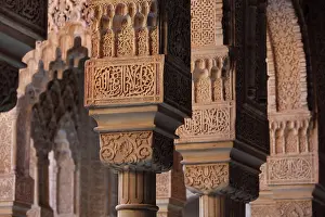 Leones: Columns, Court of the Lions, Alhambra, Granada