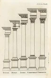 Proportion: Columns of the various orders of classical architecture