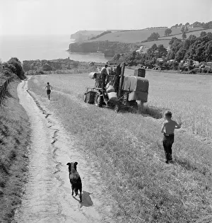 Ladram: Combine Harvester