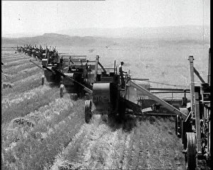 Harvesters: Combine Harvesters Crossing Large Fields