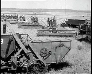 Harvesters: Combine Harvesters Crossing Large Fields