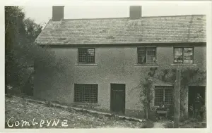 Axminster: Combpyne Lane