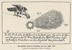 Sighting: Comet seen from Nuremberg, Germany