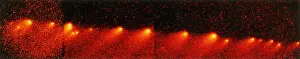 Levy: Comet Shoemaker-Levy 9