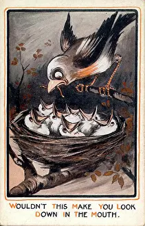 Beaks: Comic postcard, Bird brings worm to chicks in nest