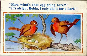 Infidelity: Comic postcard, Birds with nest of eggs