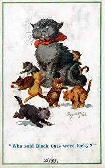 Unlucky: Comic postcard, Black cat annoyed by kittens