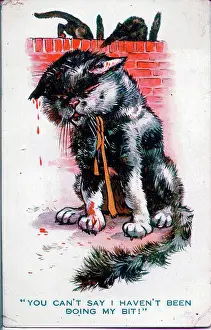 Havent: Comic postcard, Black cat fighter, WW1