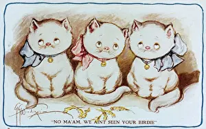 Birdie: Comic postcard, Three Cats