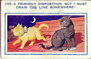 Unsuitable: Comic postcard, Two cats on a roof at night